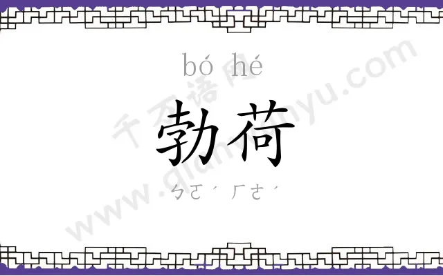 勃荷