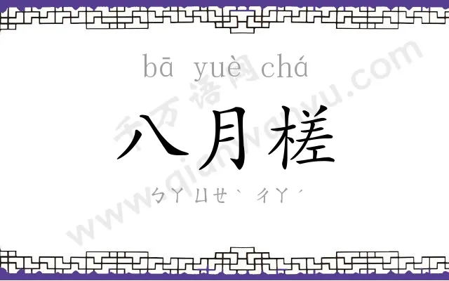八月槎