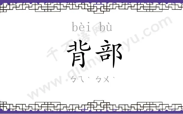 背部