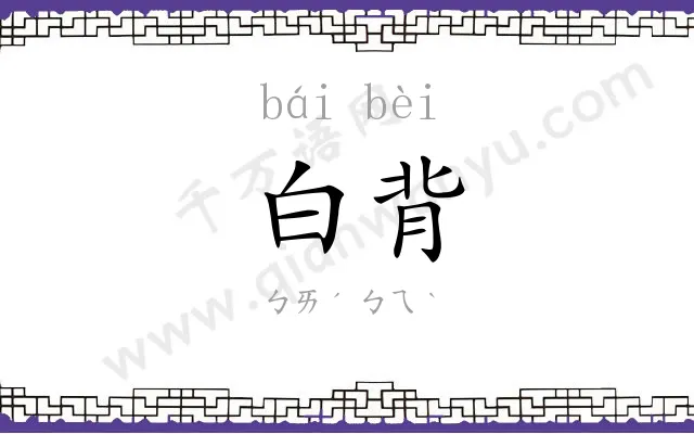 白背