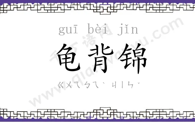 龟背锦