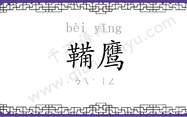 鞴鹰