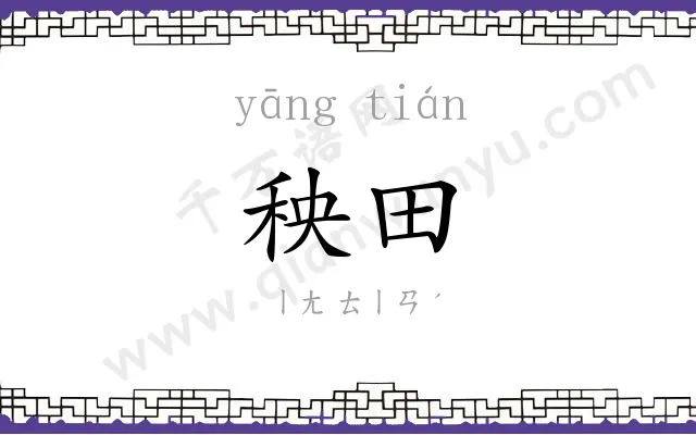 秧田