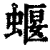 蝘(清·印刷字体·康熙字典)