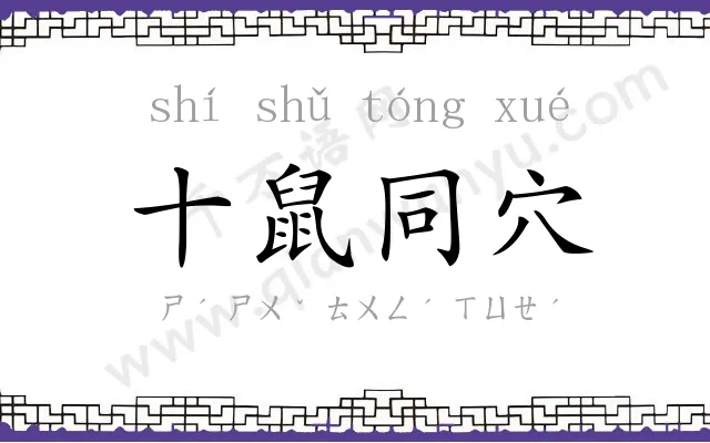 十鼠同穴