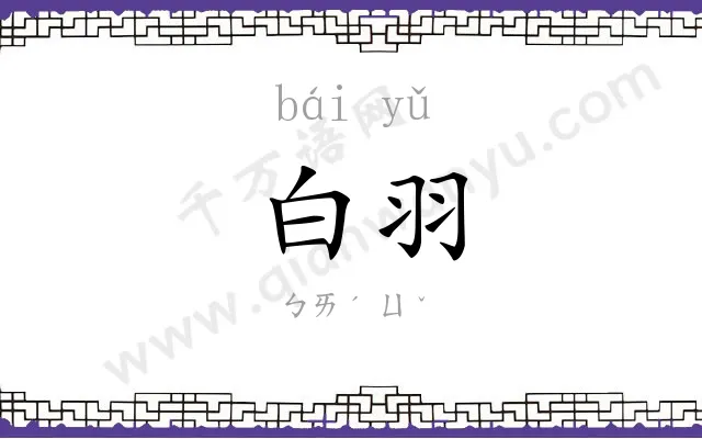 白羽