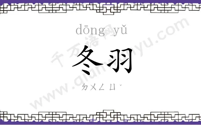 冬羽