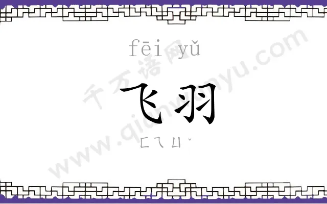 飞羽