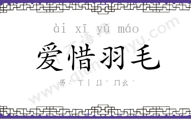 爱惜羽毛