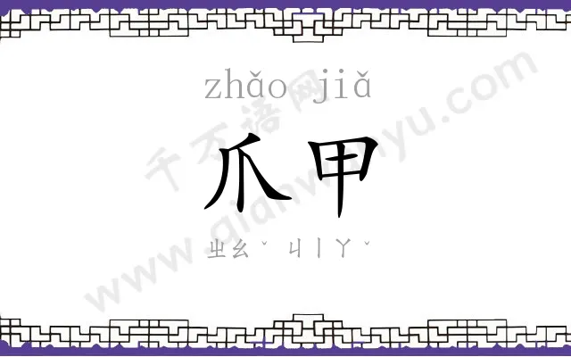 爪甲
