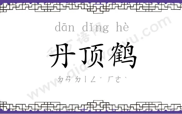 丹顶鹤