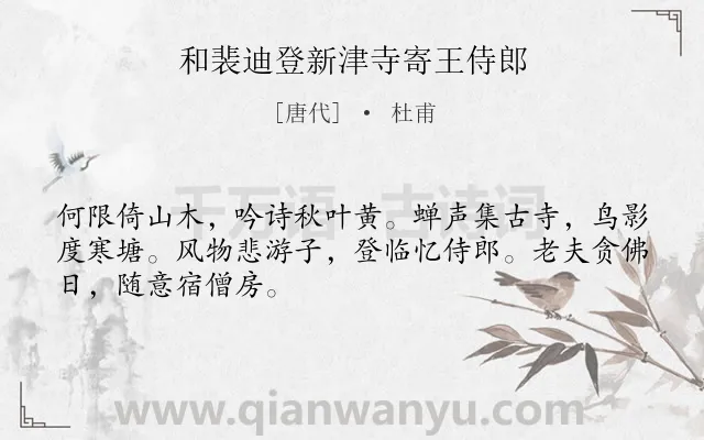 《和裴迪登新津寺寄王侍郎》作者是唐代的杜甫.诗词全文约共48字.