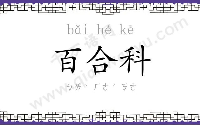 百合科