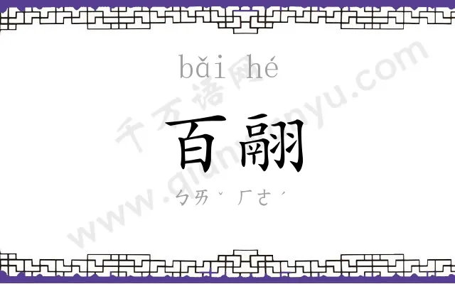 百翮