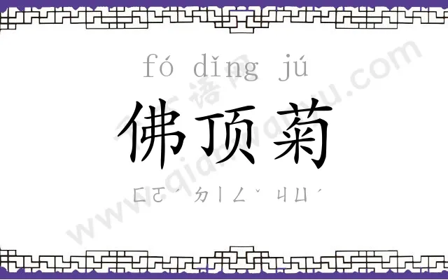 佛顶菊