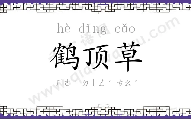 鹤顶草