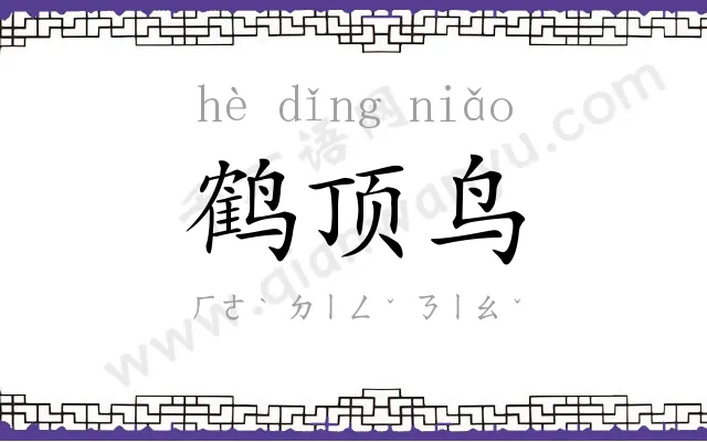 鹤顶鸟