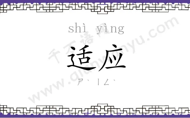 适应