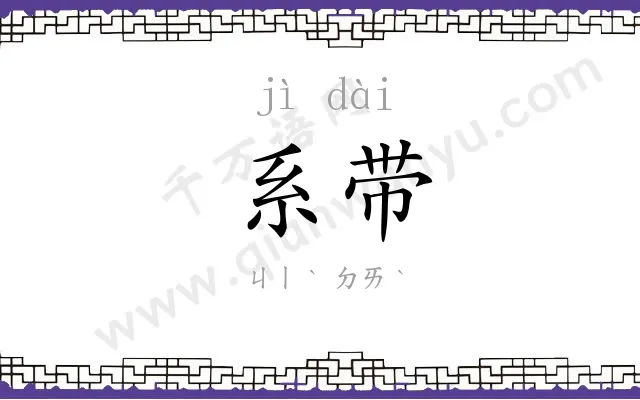 系带