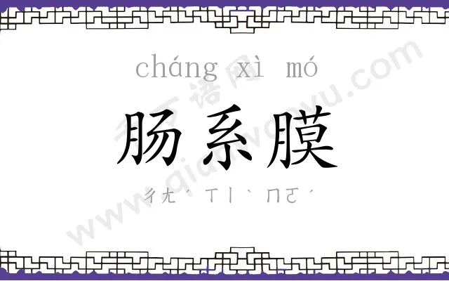 肠系膜