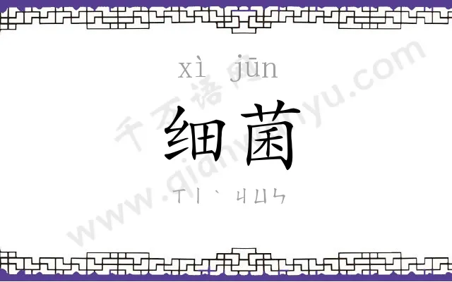 细菌