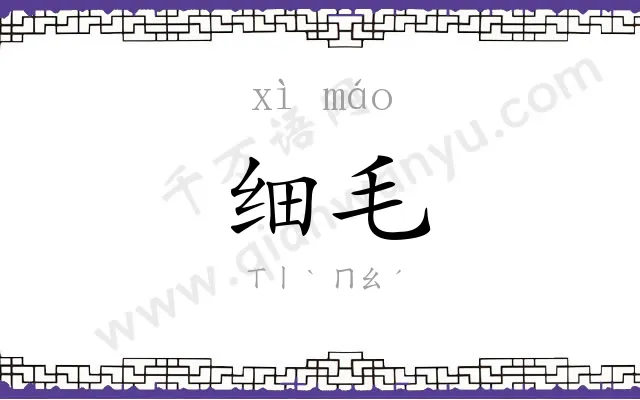 细毛