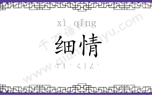 细情