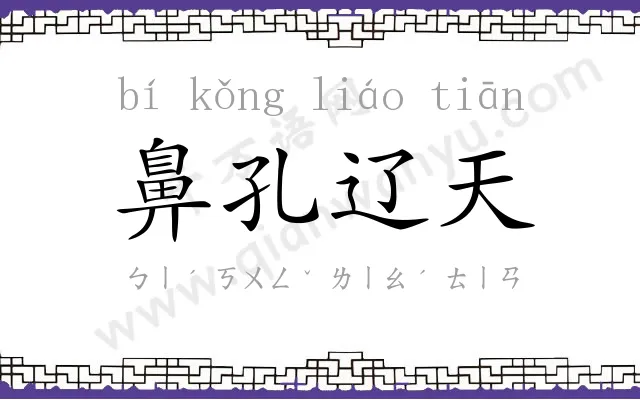 鼻孔辽天