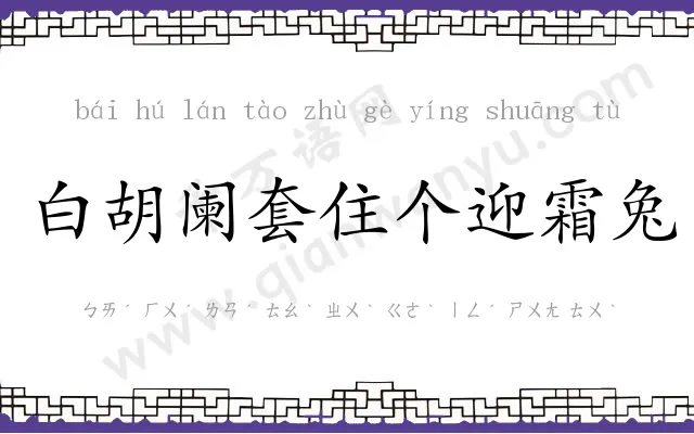 白胡阑套住个迎霜兔