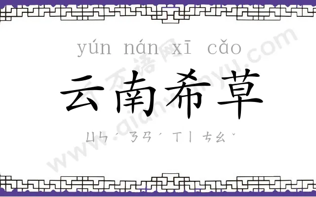 云南希草