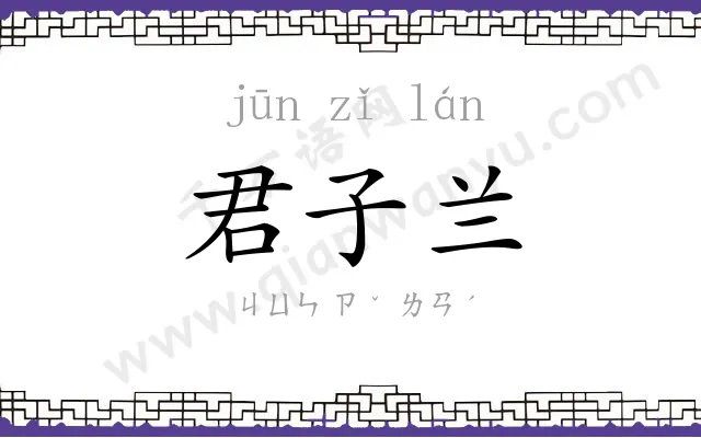 君子兰
