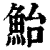 鮐(清·印刷字体·康熙字典)