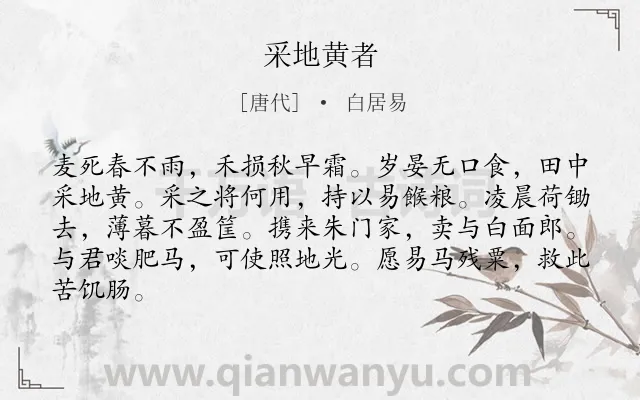 《采地黄者》作者是唐代的白居易.诗词全文约共84字.