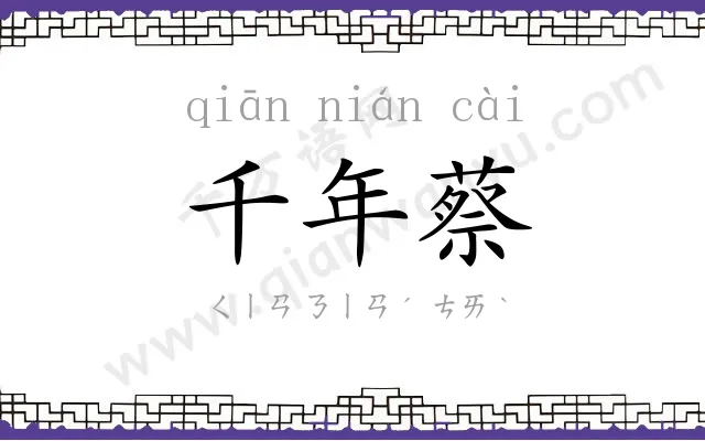千年蔡