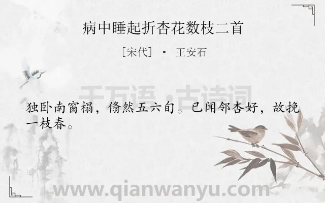 《病中睡起折杏花数枝二首》作者是宋代的王安石.诗词全文约共24字.