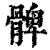 髀(清·印刷字体·康熙字典)