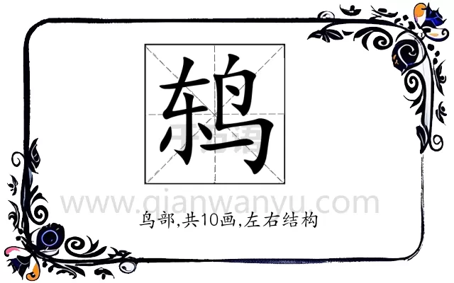鸫
