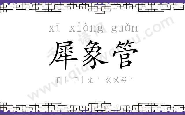 犀象管