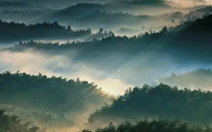 1674962947792322.png image.png