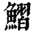 鳛(清·印刷字体·康熙字典)