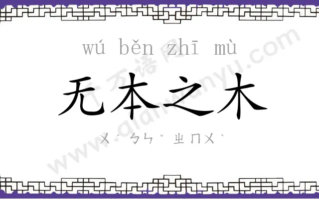 无本之木