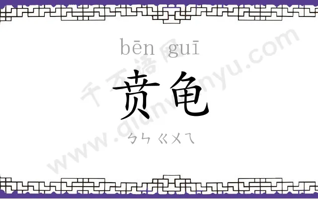 贲龟