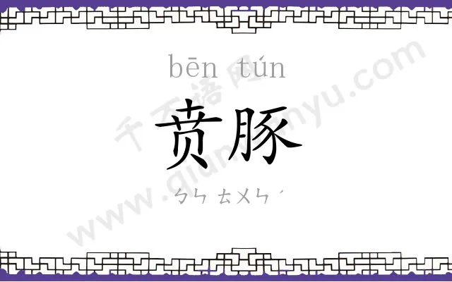 贲豚
