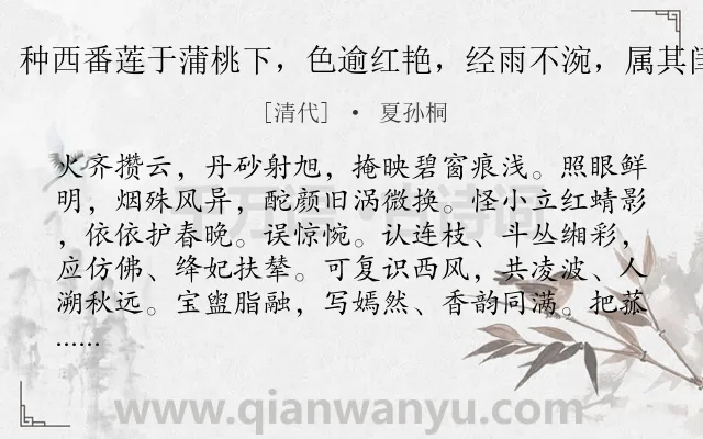 《法曲献仙音·宗室某君，种西番莲于蒲桃下，色逾红艳，经雨不涴，属其闺人写图徵题，用碧山韵》作者是清代的夏孙桐.诗词全文约共111字.