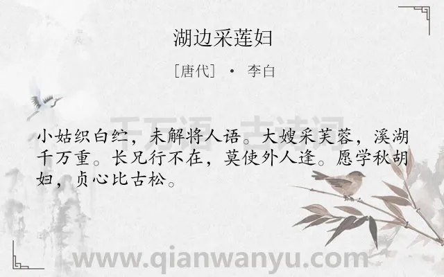 《湖边采莲妇》作者是唐代的李白.本诗词属于写人;妇女类诗词.诗词全文约共48字.