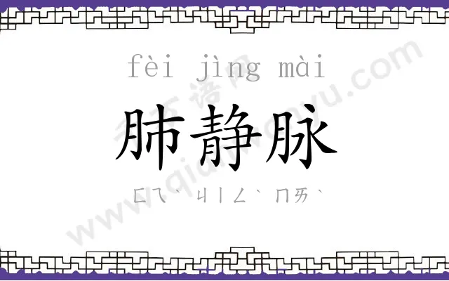 肺静脉