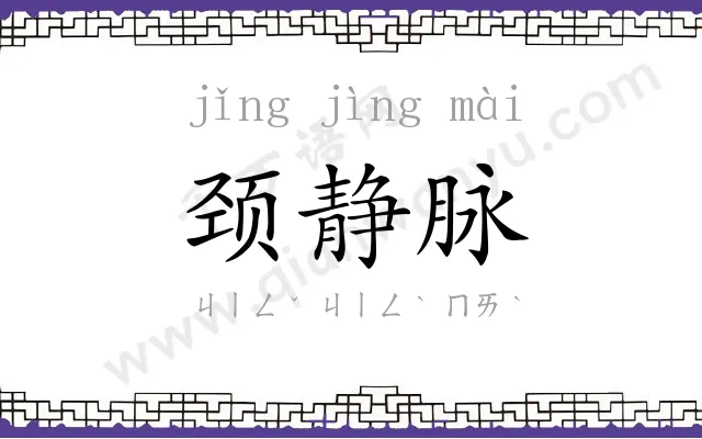 颈静脉