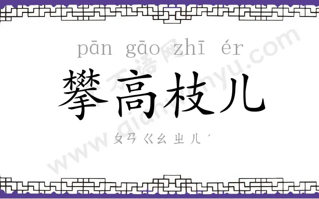 攀高枝儿