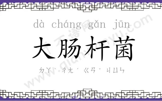 大肠杆菌