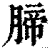 腣(清·印刷字体·康熙字典)